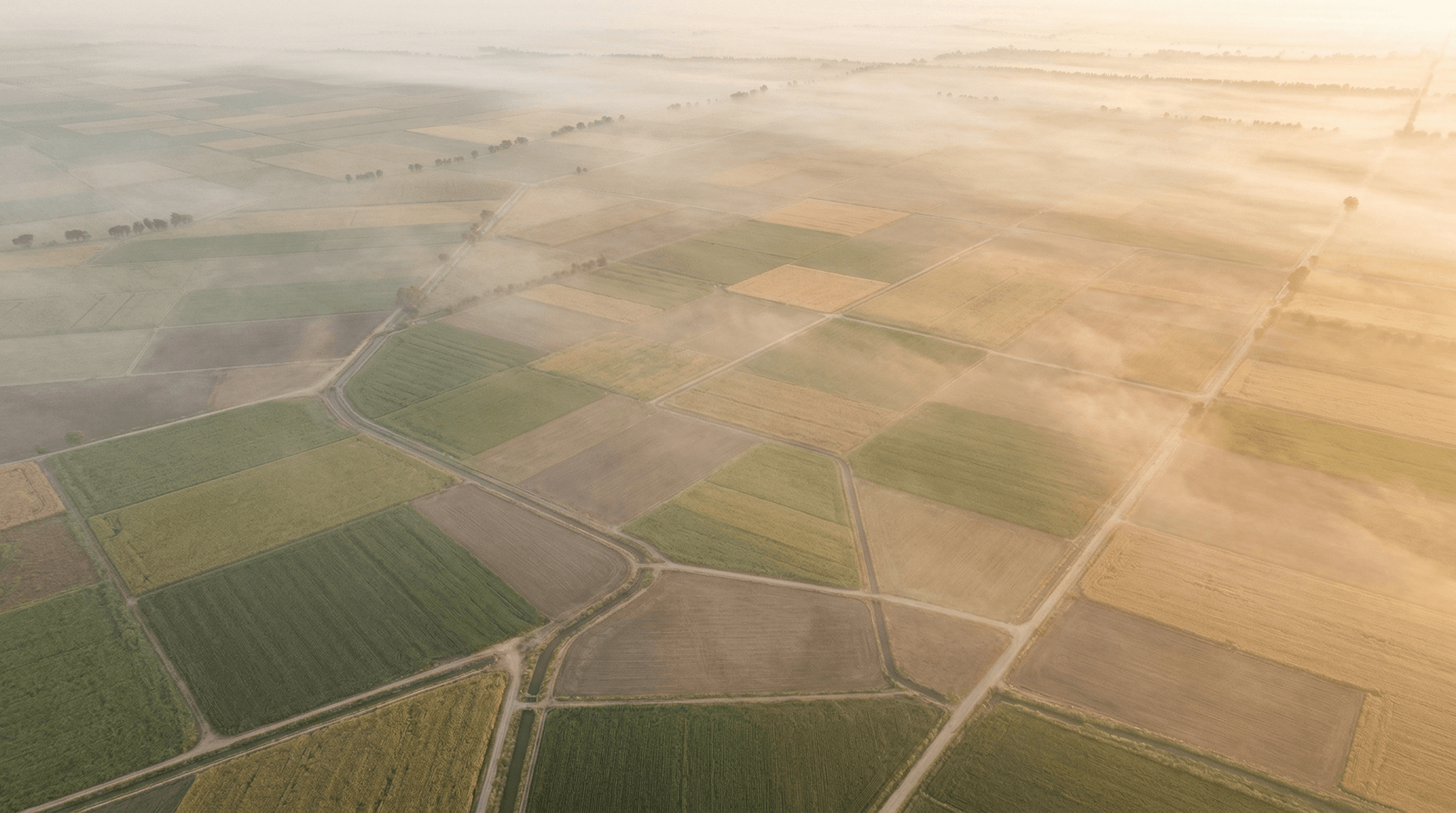 Campo agrícola satelital